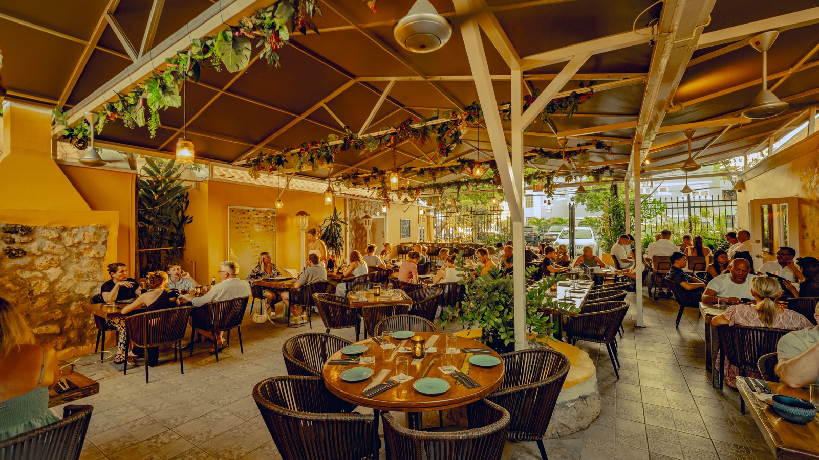 Mosa/Caña - Image 2