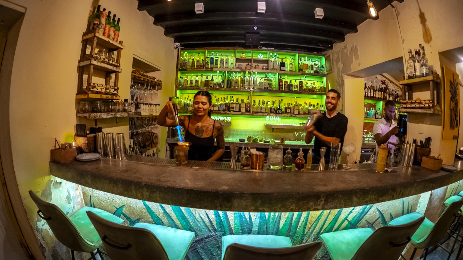 Mosa/Caña - Image 3