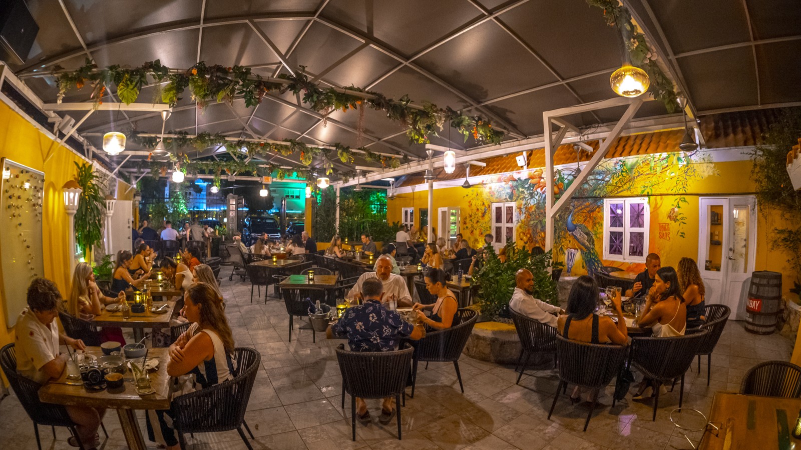 Mosa/Caña - Image 9