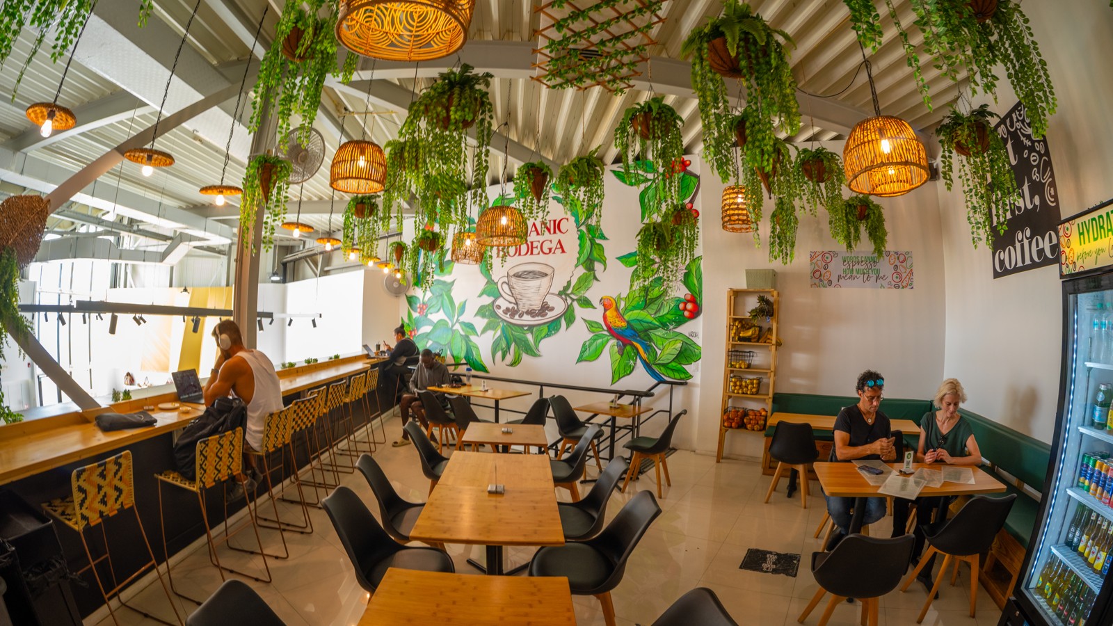 Organic Bodega Cafe - Image 3