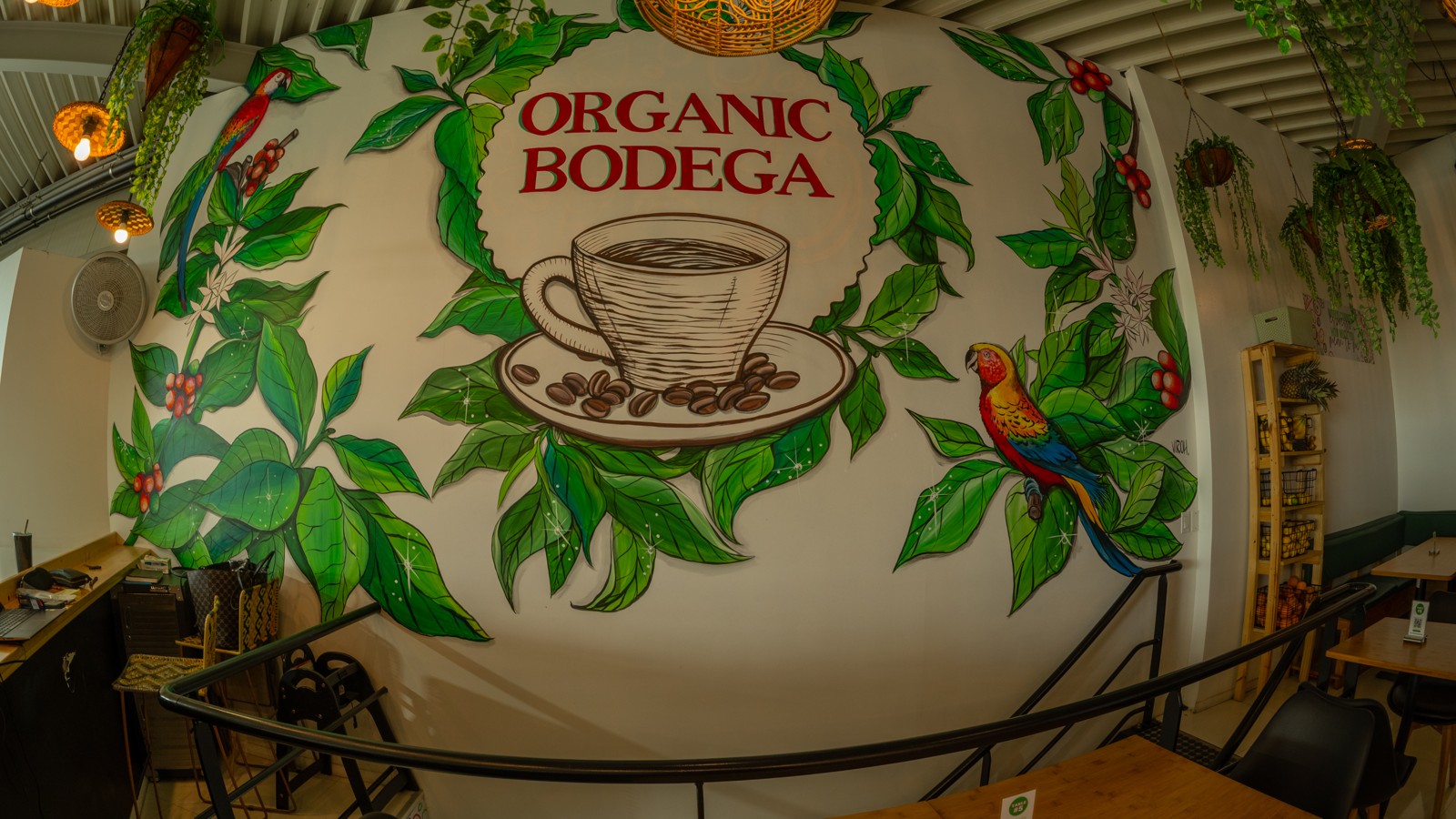 Organic Bodega Cafe - Image 5