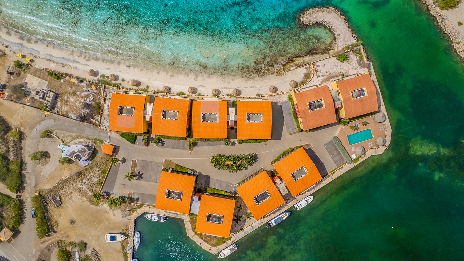 Palapa 8 - Image 2