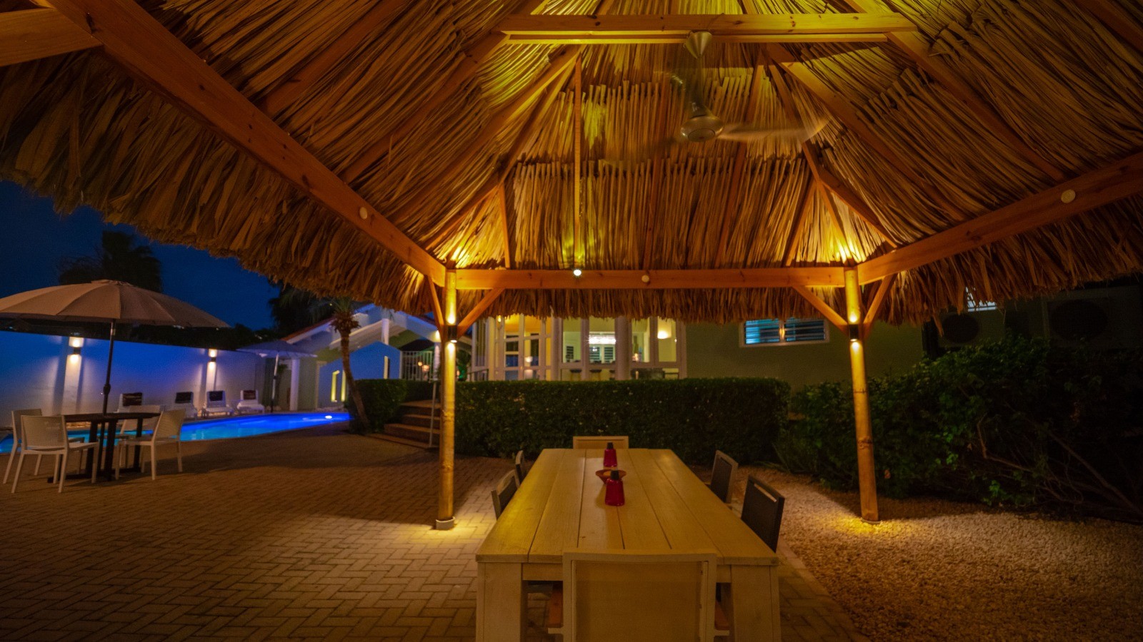 Palapa - Image 2