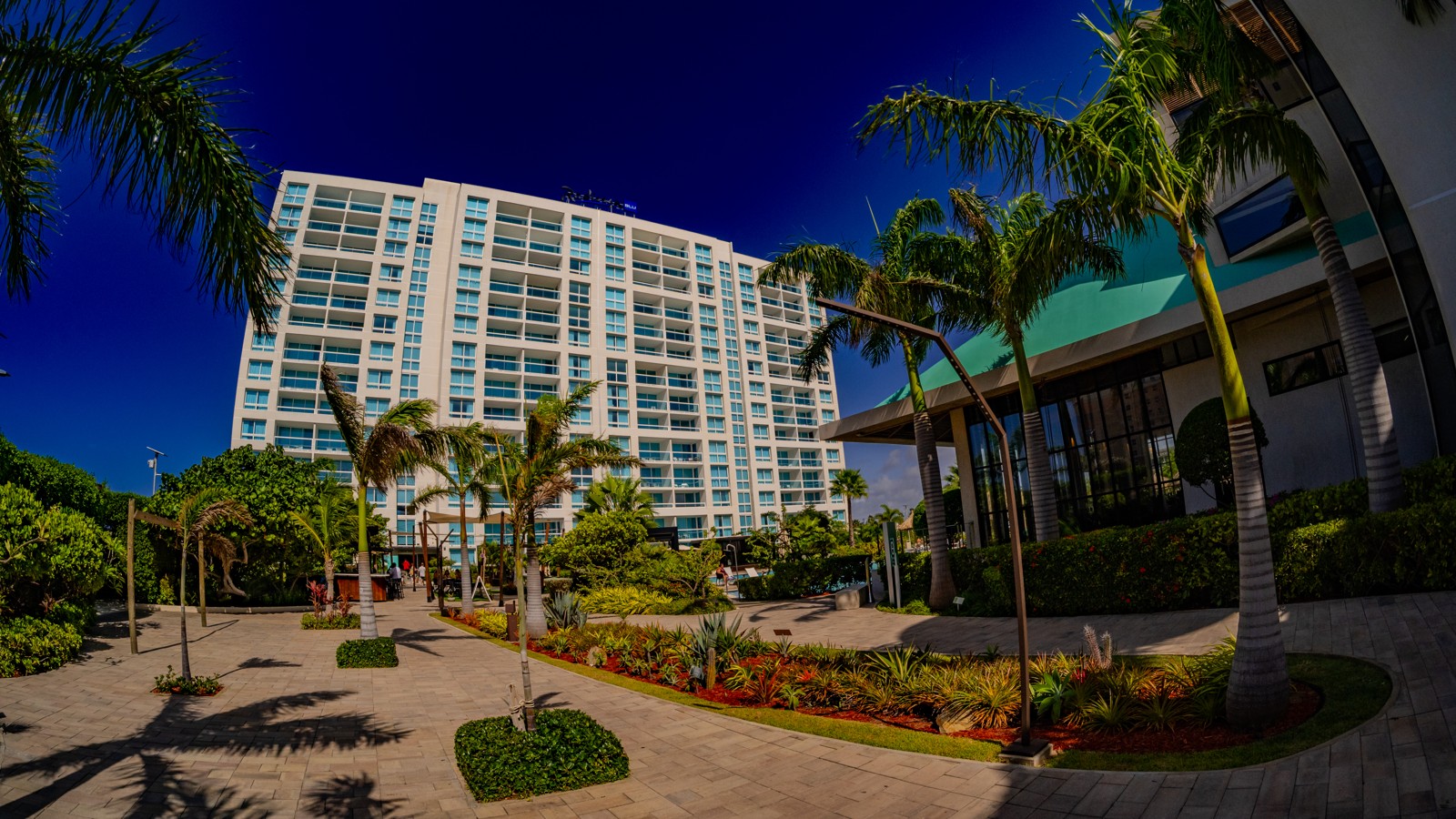 Radisson Blu Aruba - Image 1