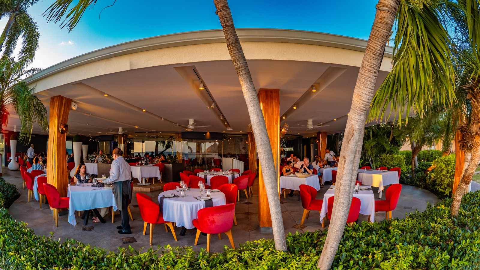 Red Parrot - Image 3