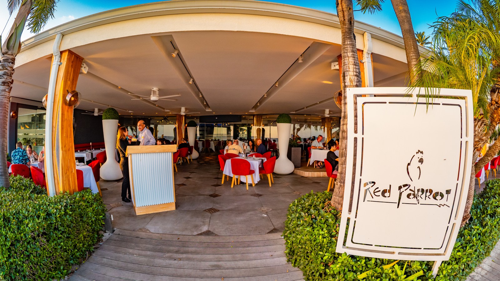 Red Parrot - Image 2