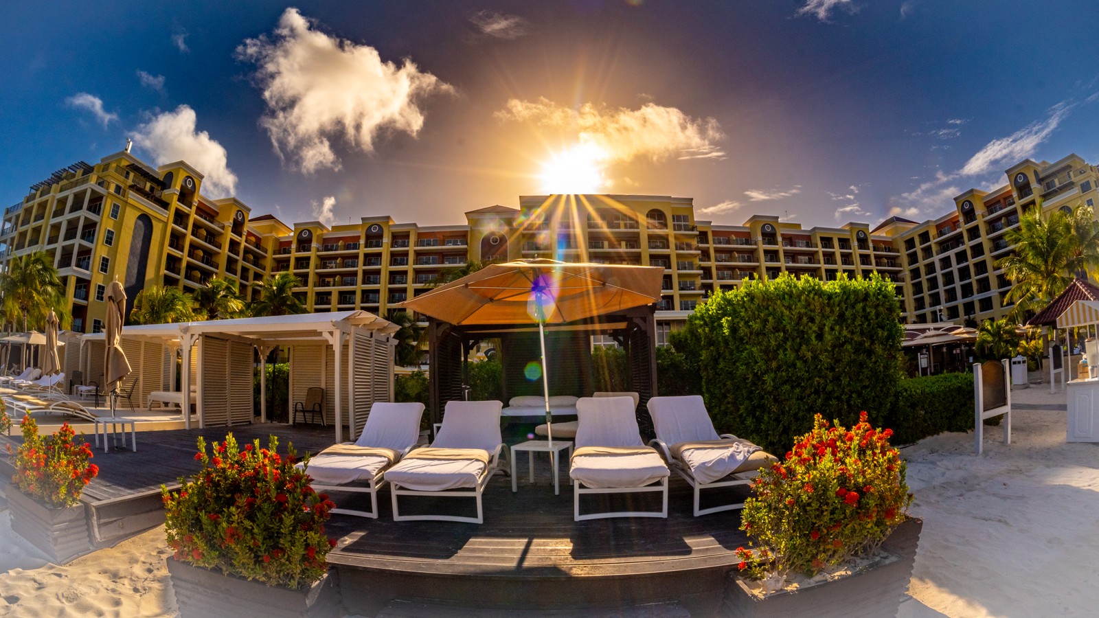 Cadushi Cocktail Toast - Image 1