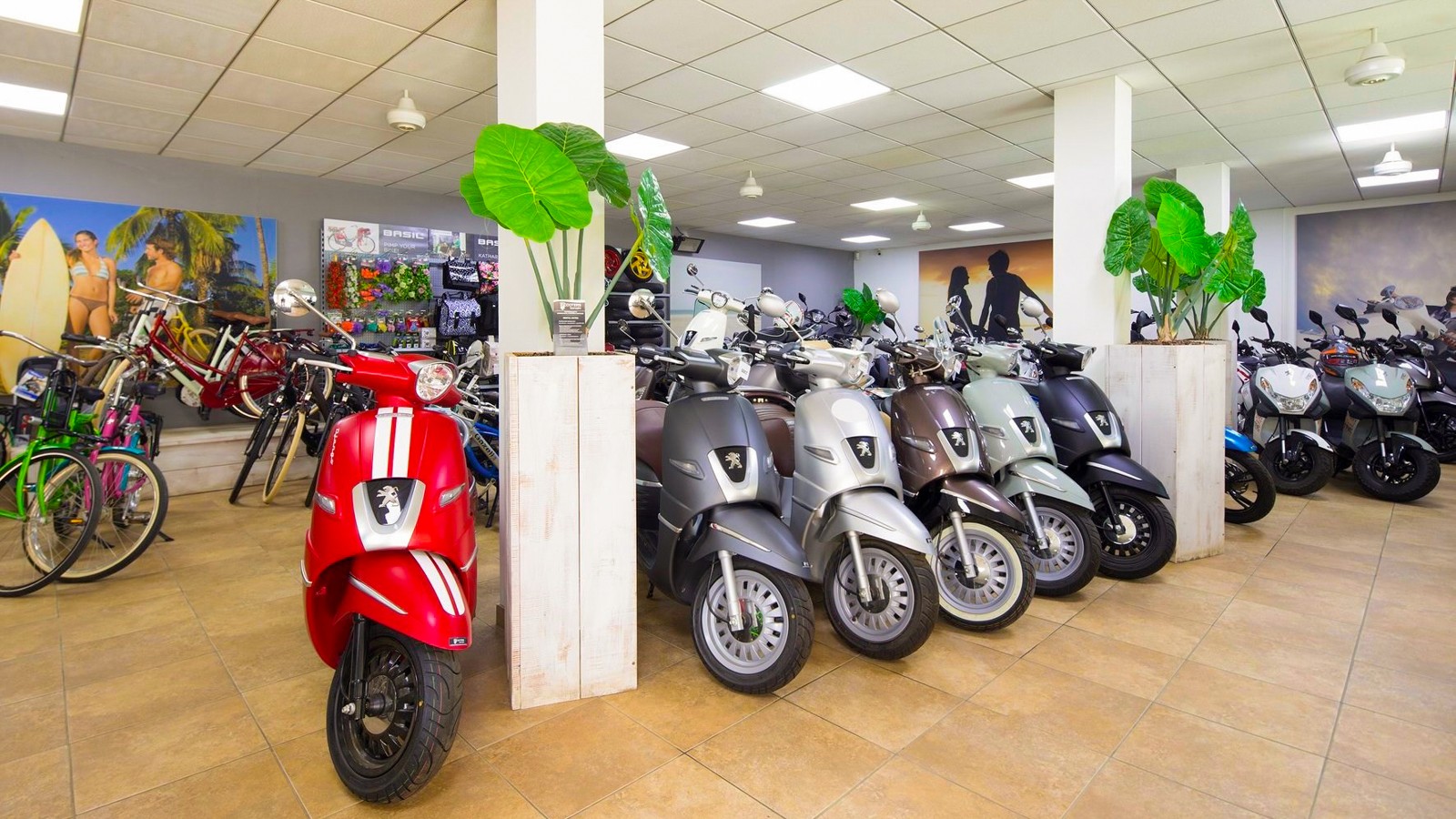 Scooters & Dutch Bike Rentals - Image 1