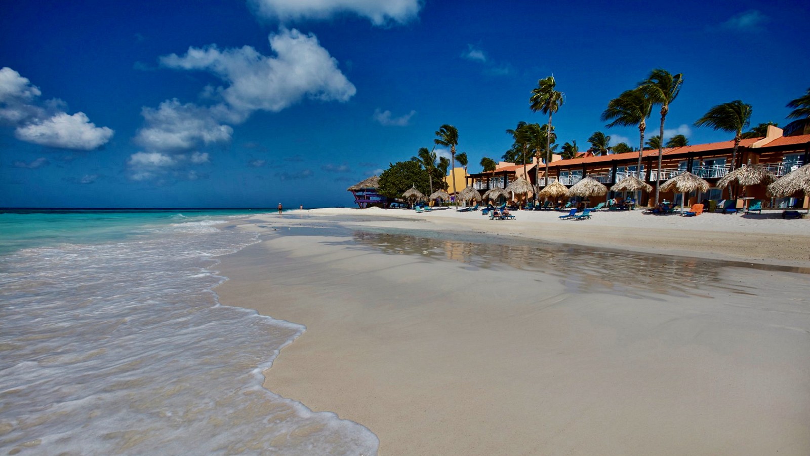 Tamarijn Aruba All Inclusive (Druif Beach) - Image 4