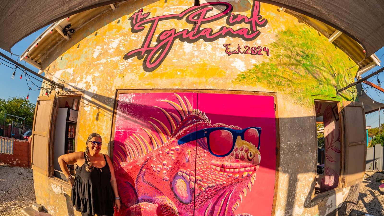 The Pink Iguana - Image 1