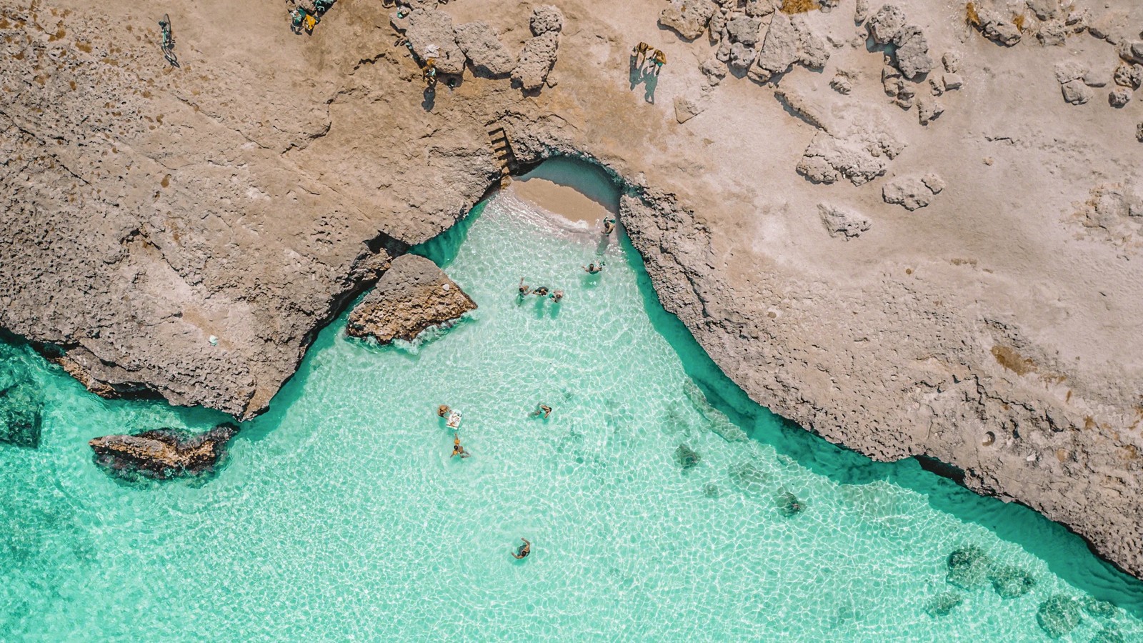 Tres Trapi - Image 2