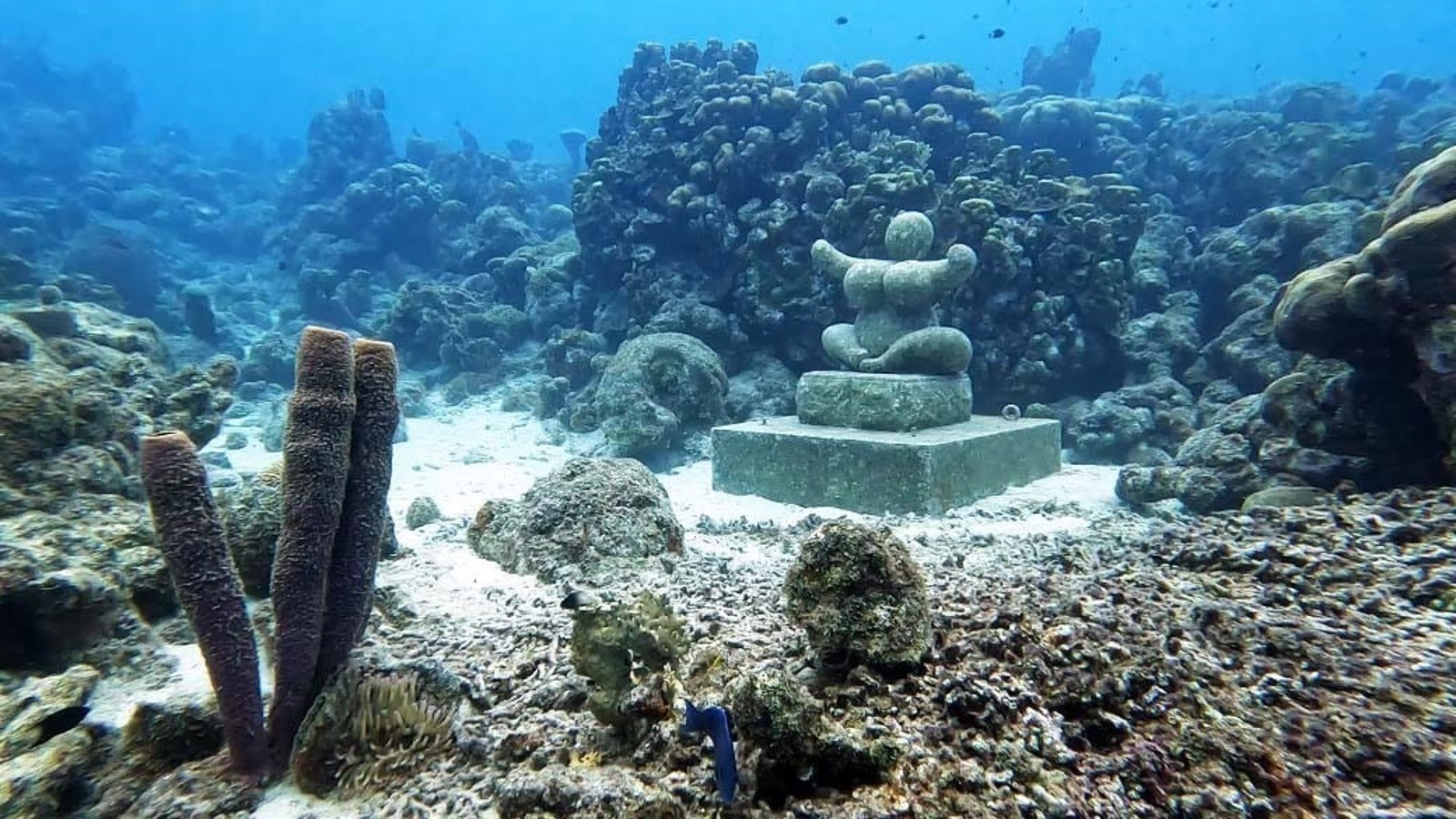 Underwater Chichi® - Image 2