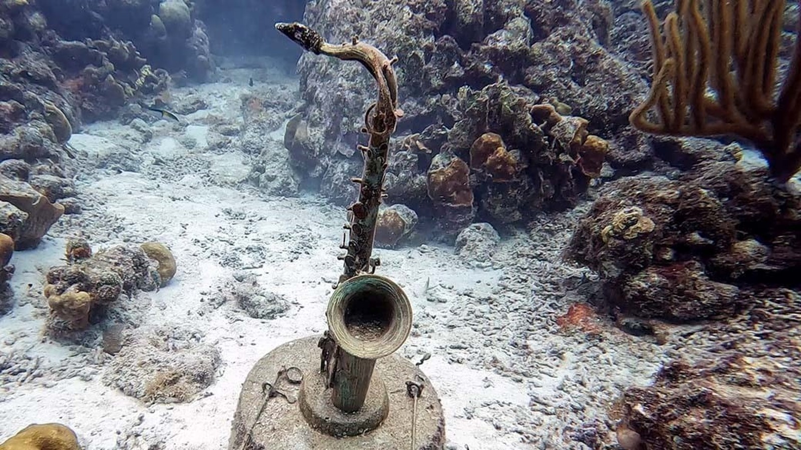 Underwater Chichi® - Image 3