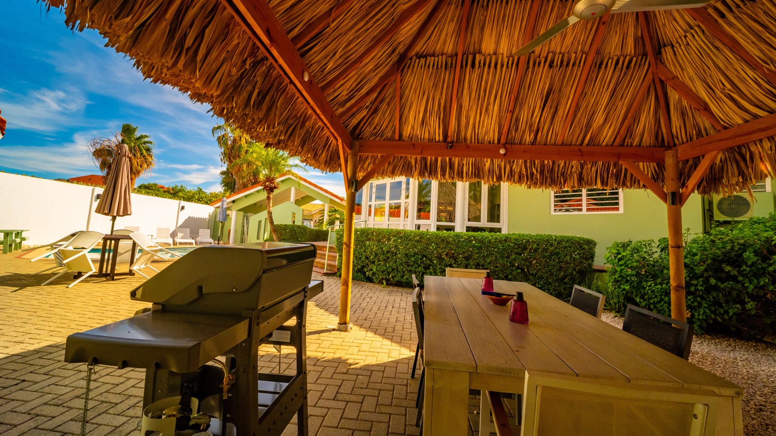 Palapa - Image 3