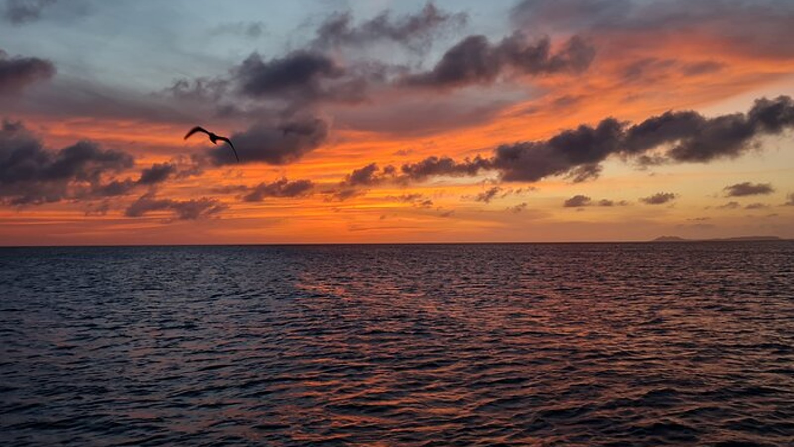 SoloBon Sailing Bonaire - Image 5