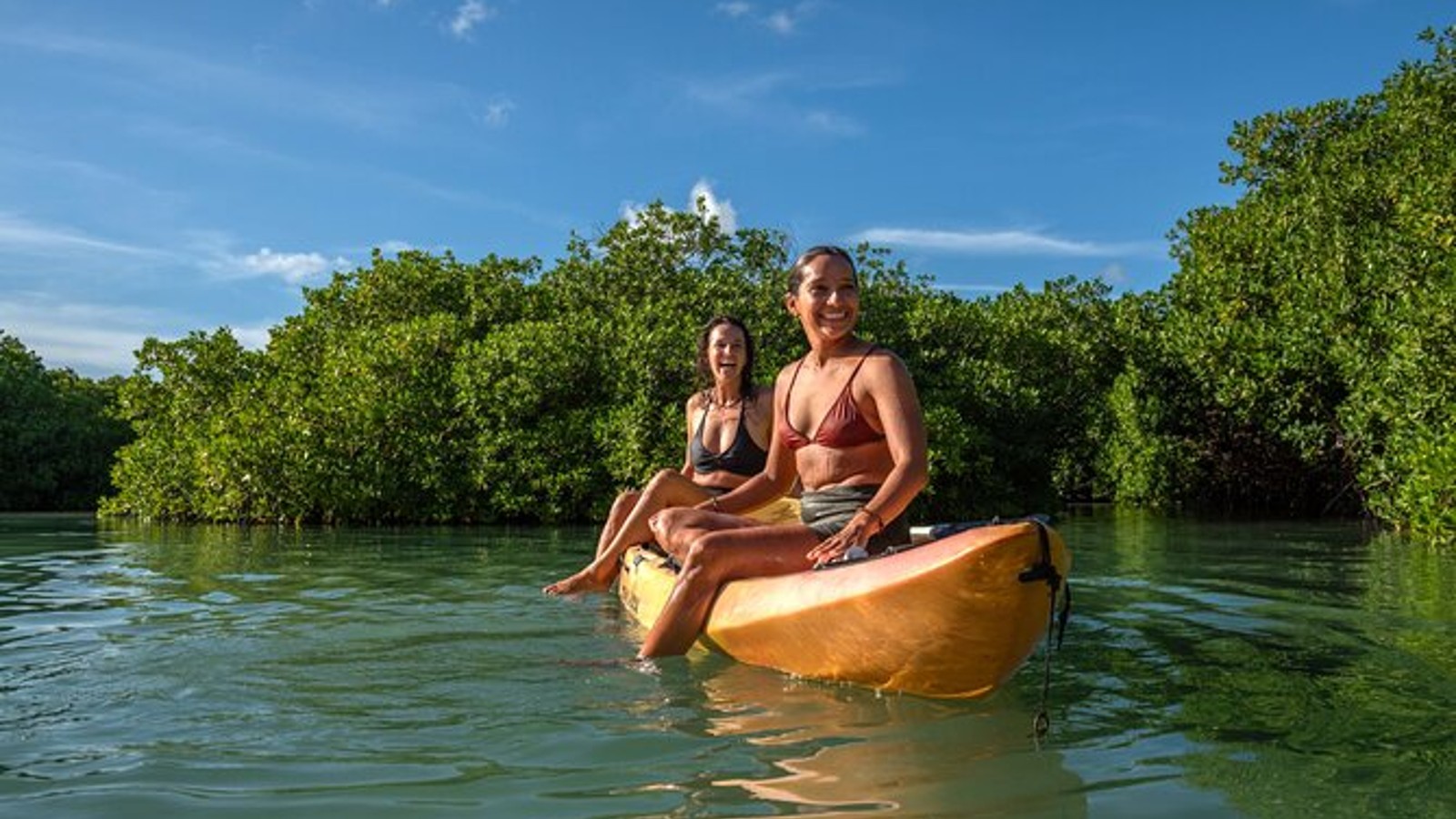 The Mangrove Center - Image 2
