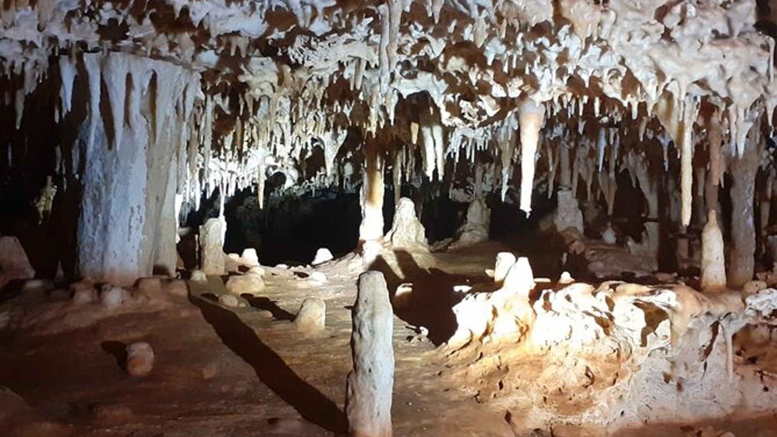 Bonaire Cave Adventures - Image 1