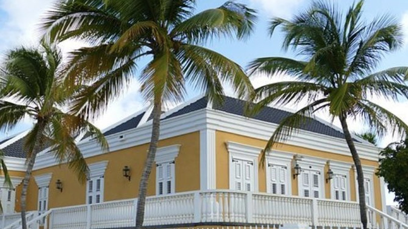 Shore Excursion: The Bonaire Highlights - Image 1