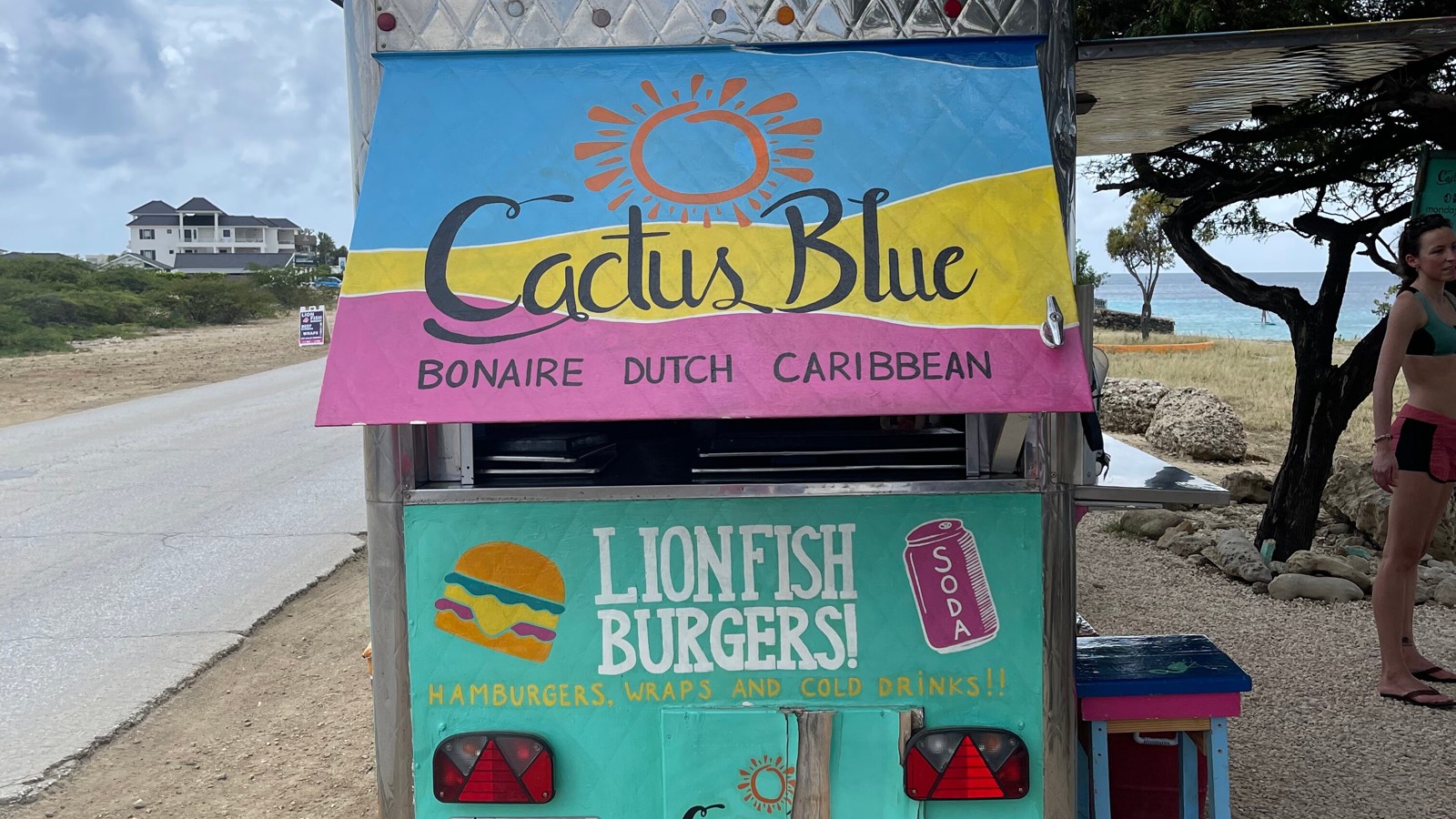Cactus Blue (Temporarily Closed) - Image 1