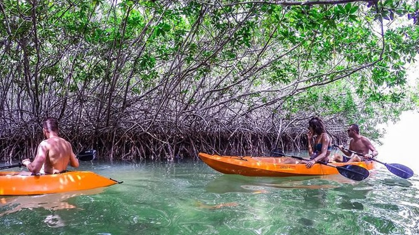 Windows to the Sea Kayaking - Image 5