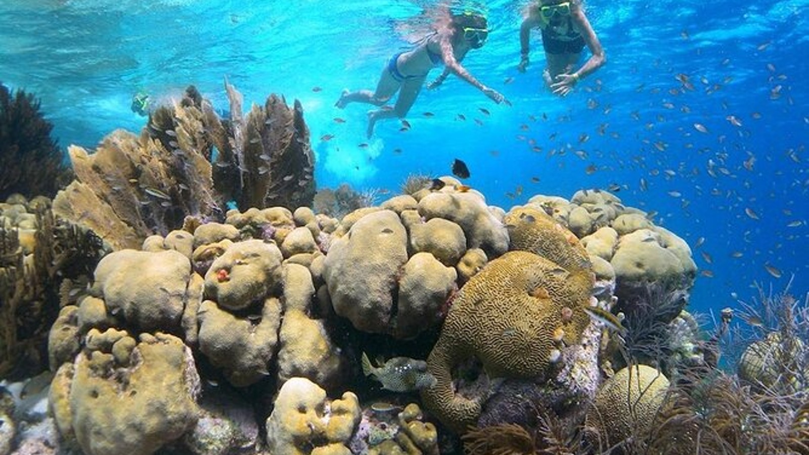 Windows to the Sea Kayaking - Image 3