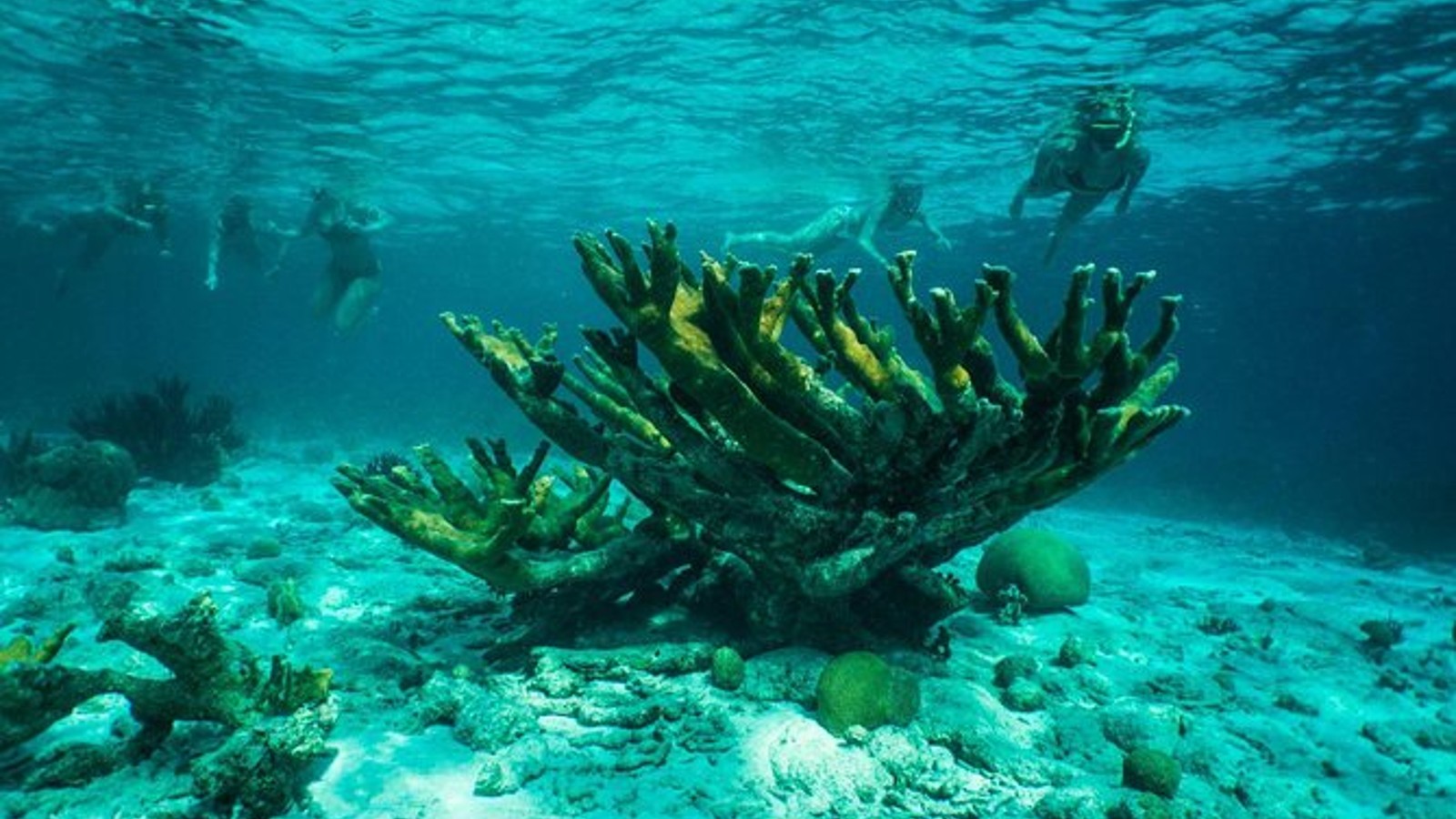 Windows to the Sea Kayaking - Image 4