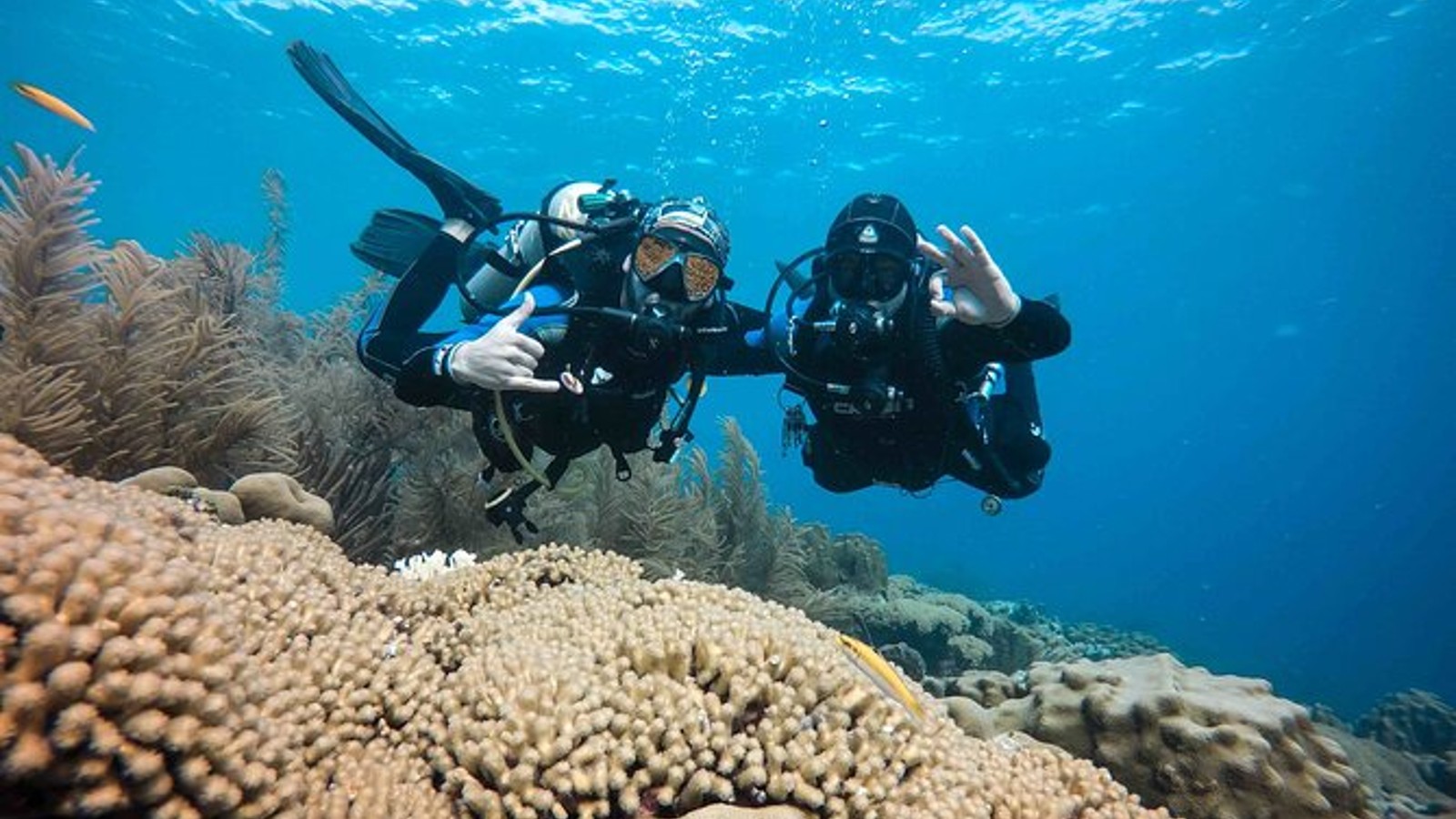 4 Wheel Diving - Image 2