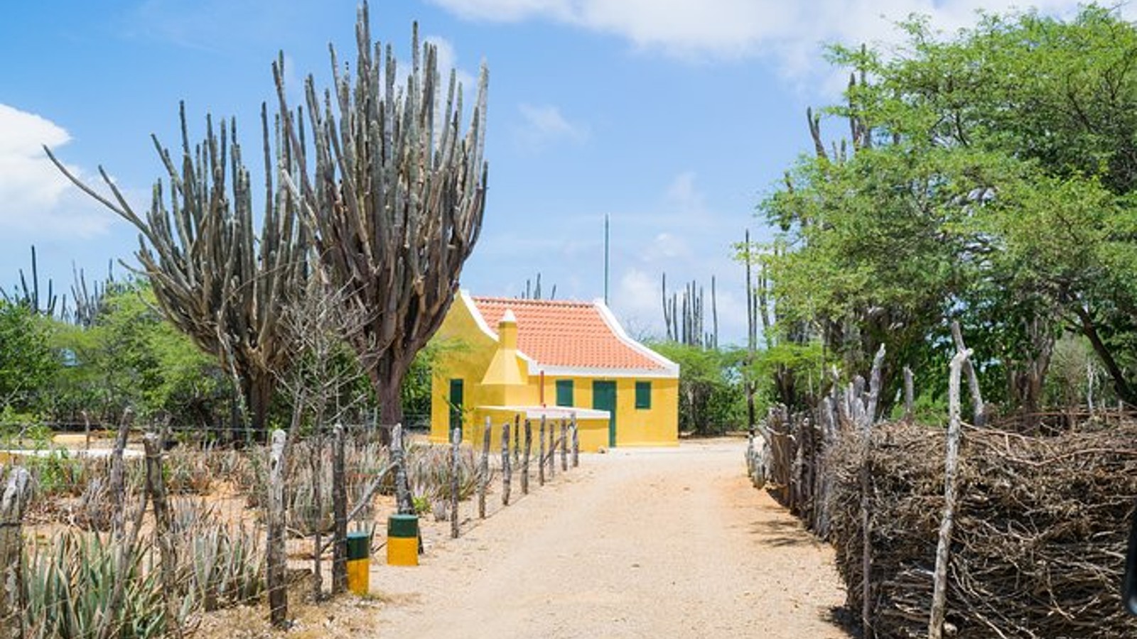 Highlights of Bonaire & Cultural Experience - Image 2