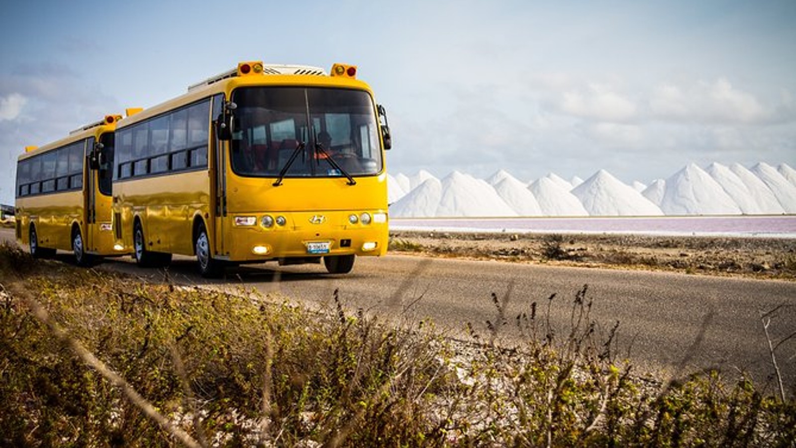 Highlights of Bonaire & Cultural Experience - Image 3