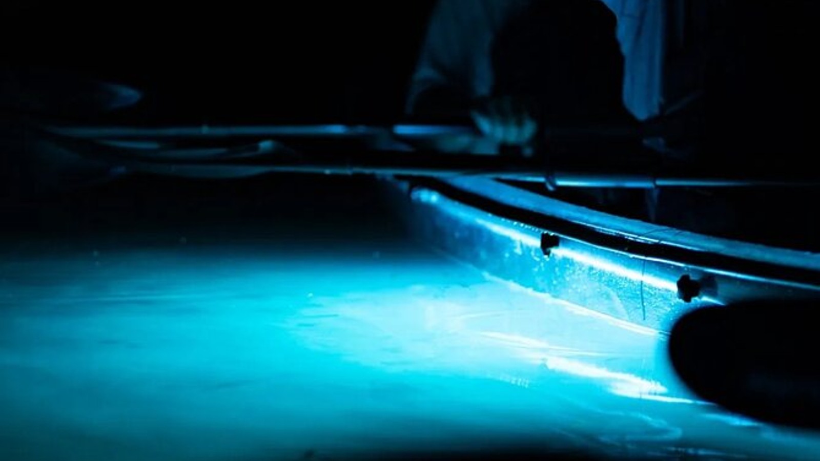 Night Mangrove Kayak Tour - Image 1