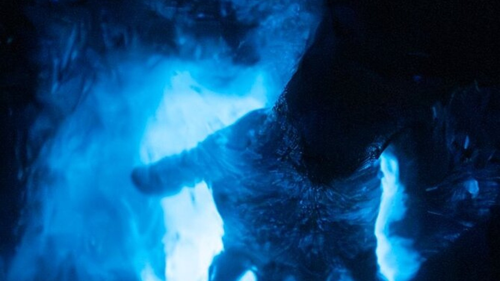 Night Mangrove Kayak Tour - Image 2