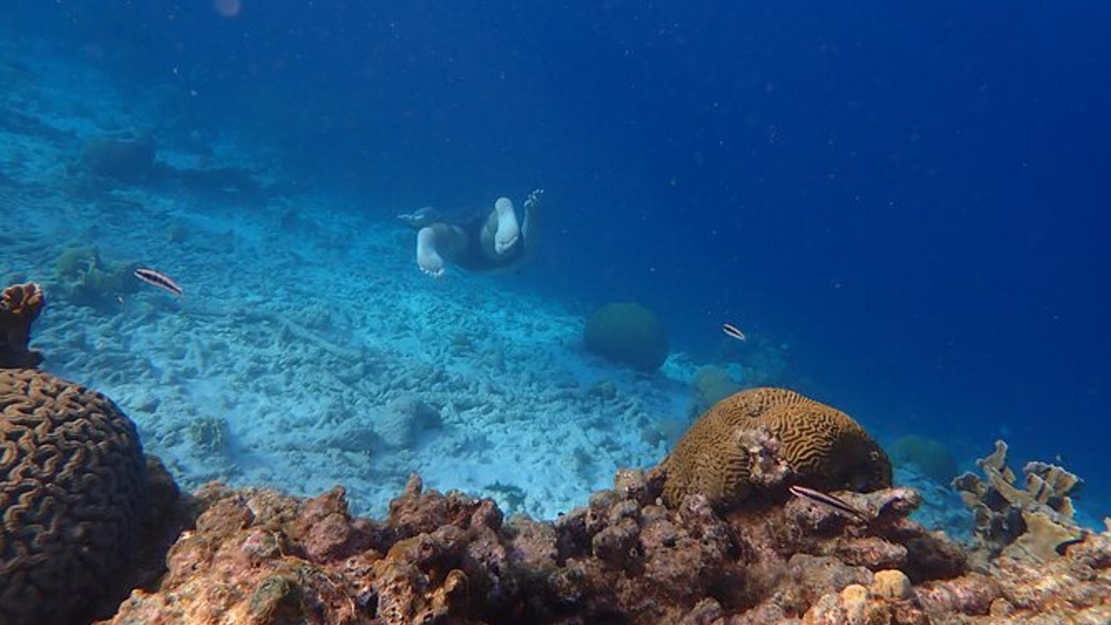 Sherwanda Boat Adventure - Image 2