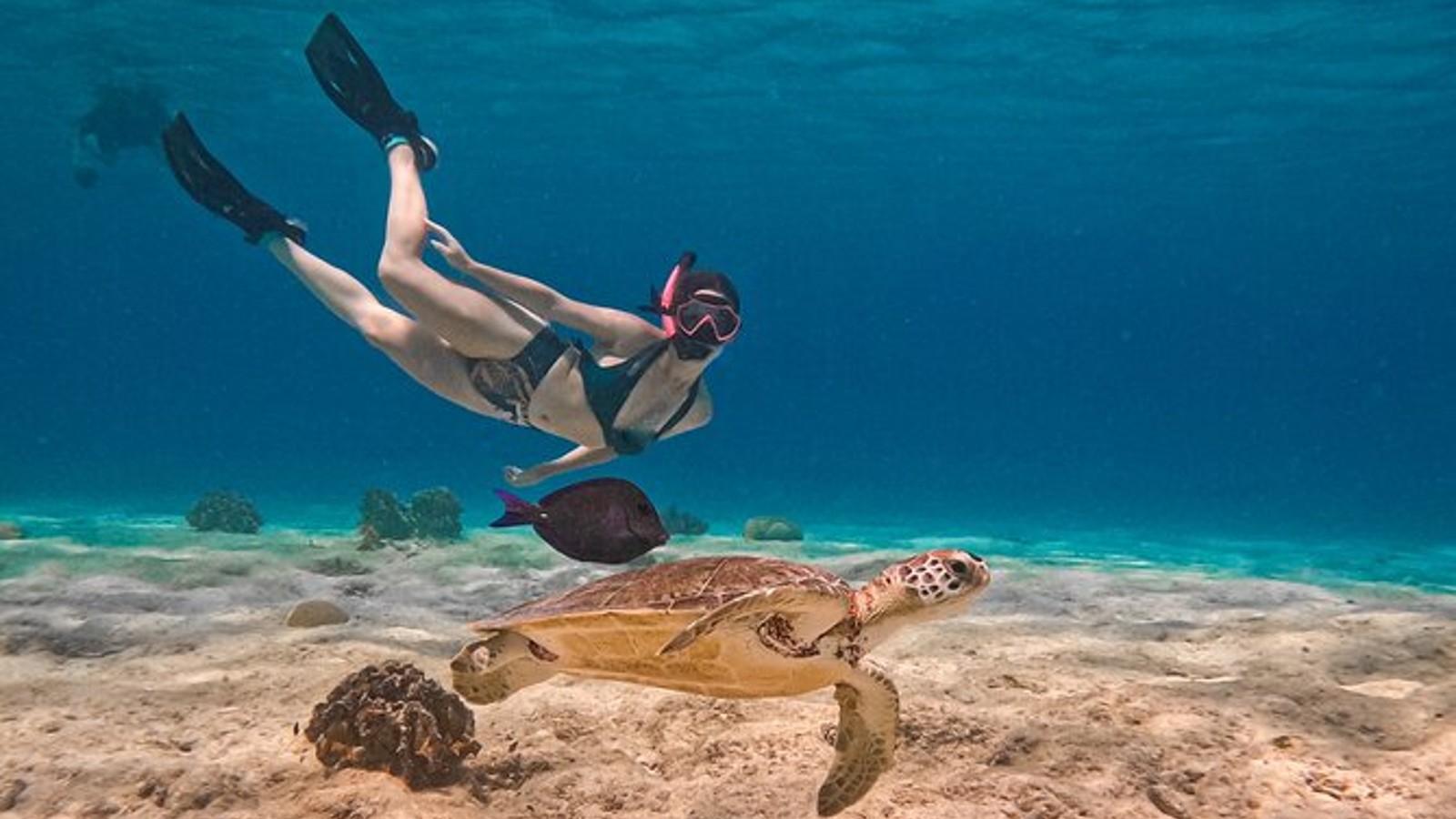 VIP Private Snorkeling Tour - Image 1