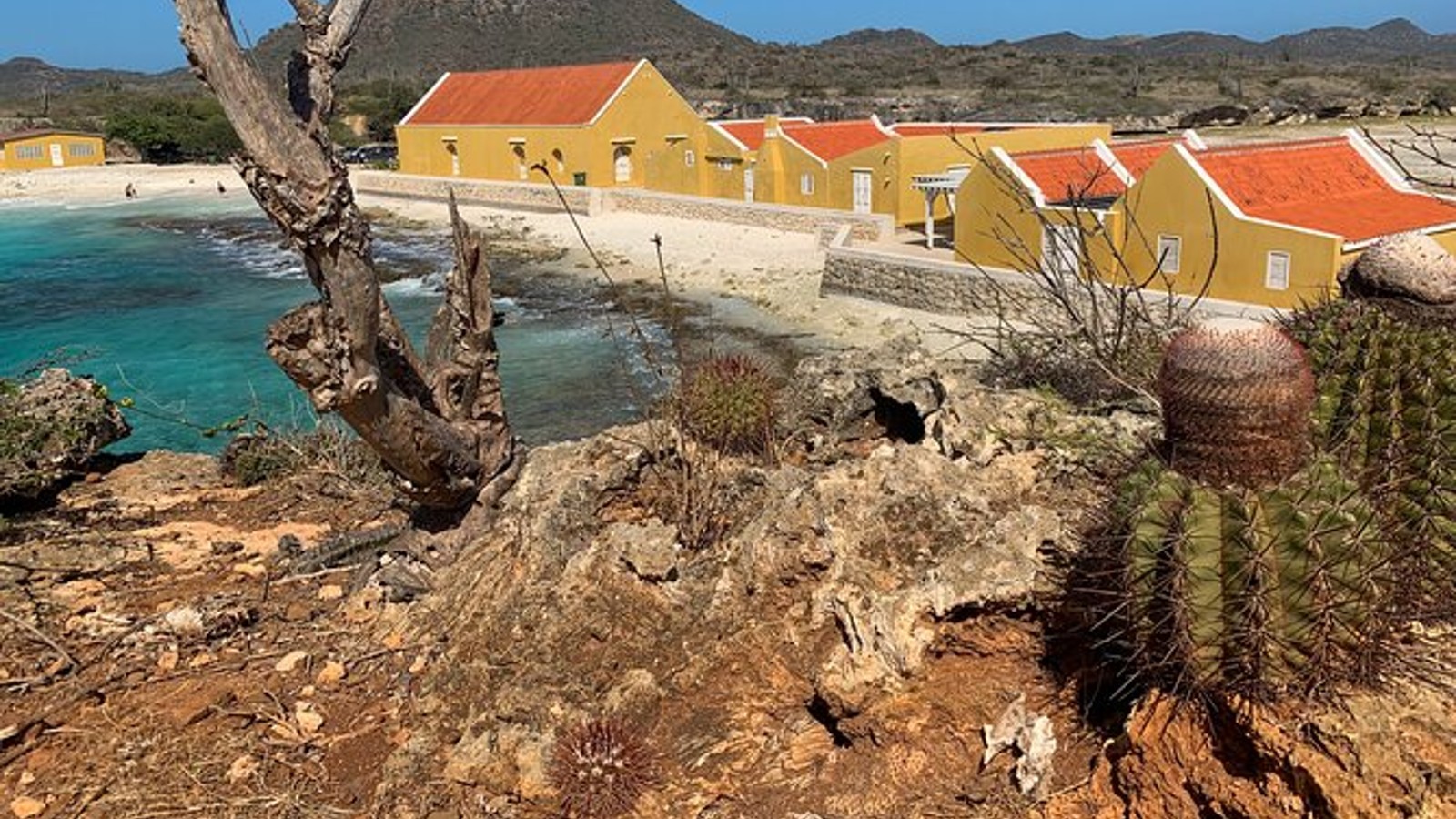 Shekhinah Tours - Image 2